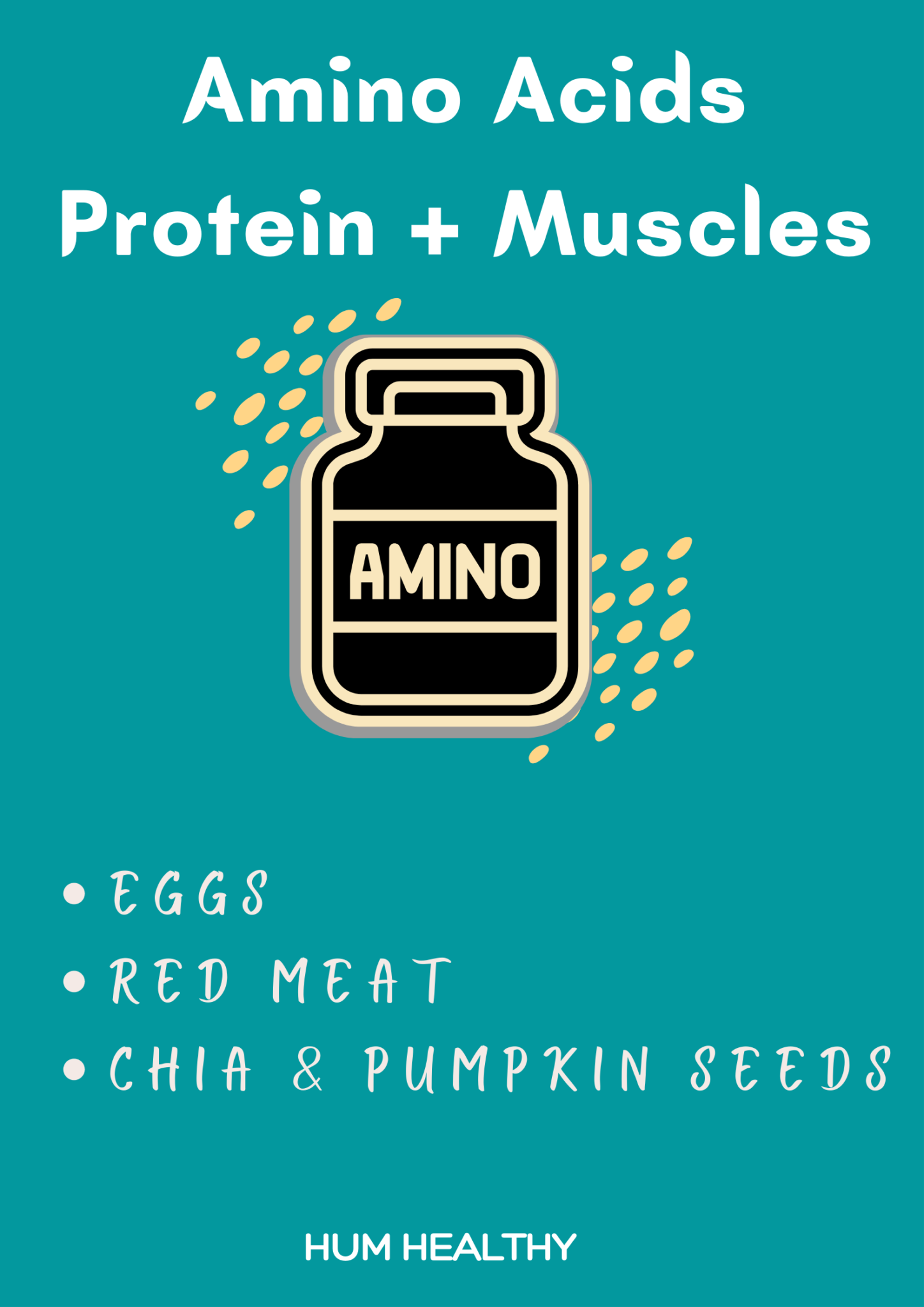 Best Protein Foods With The Highest Absorption Rate Amino Acids And Muscle Building